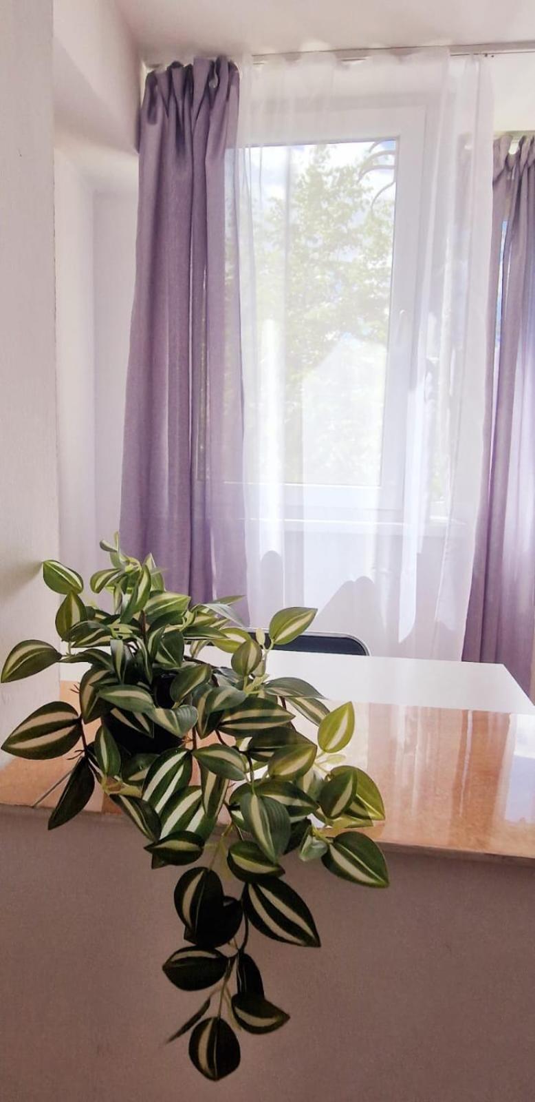 Stephanie Apartment-Centru Civic Брашов Екстер'єр фото