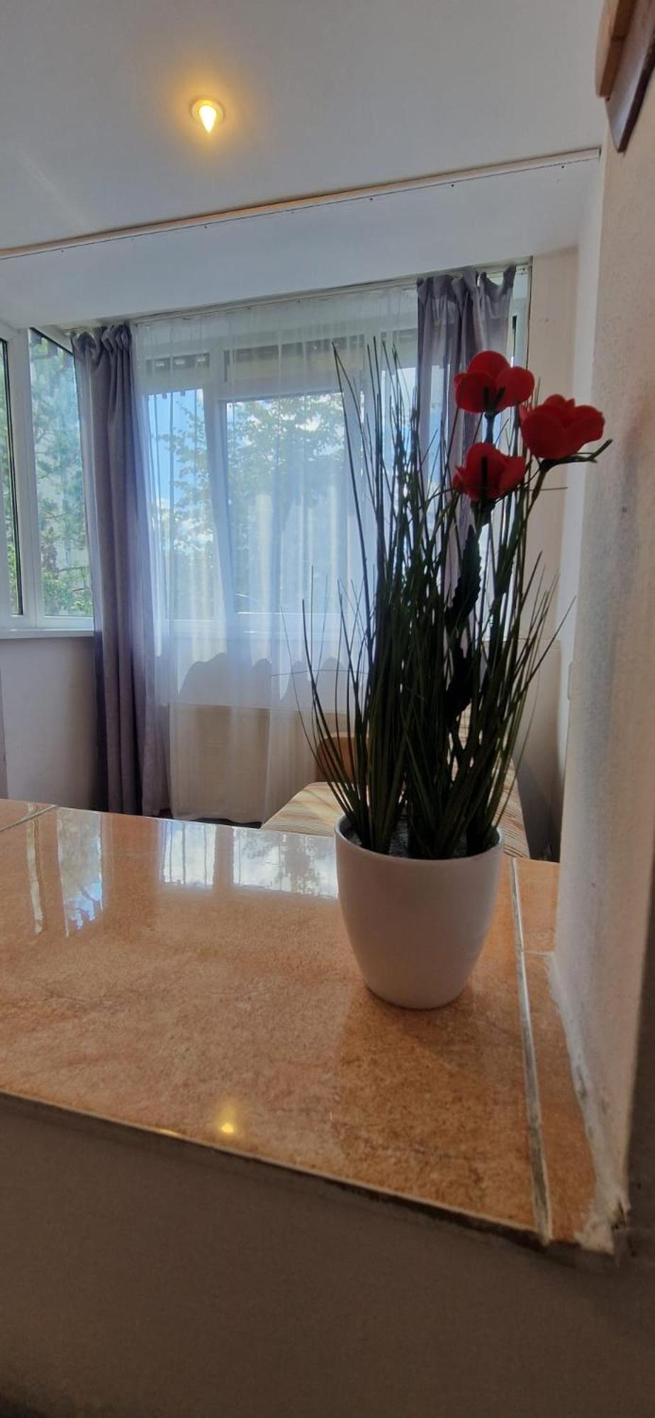 Stephanie Apartment-Centru Civic Брашов Екстер'єр фото