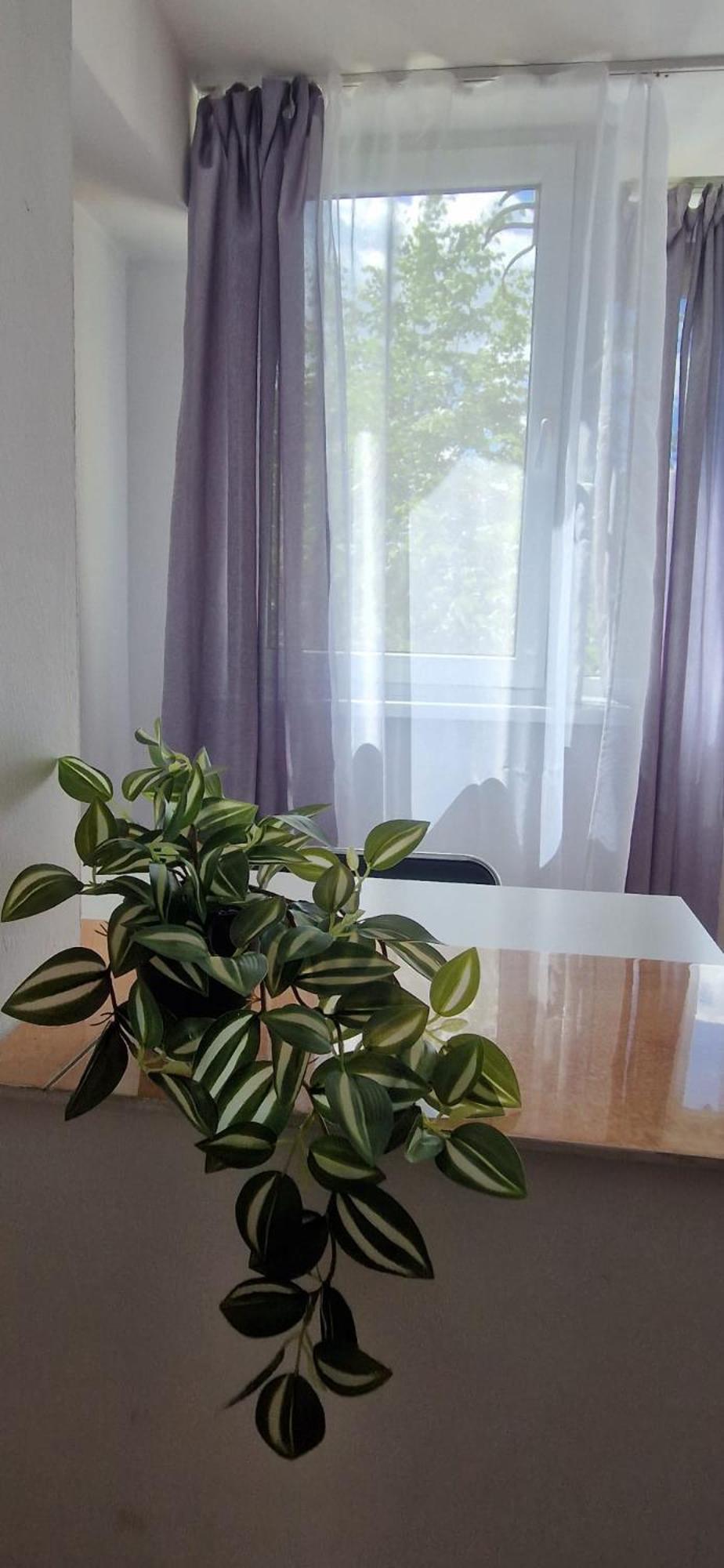 Stephanie Apartment-Centru Civic Брашов Екстер'єр фото