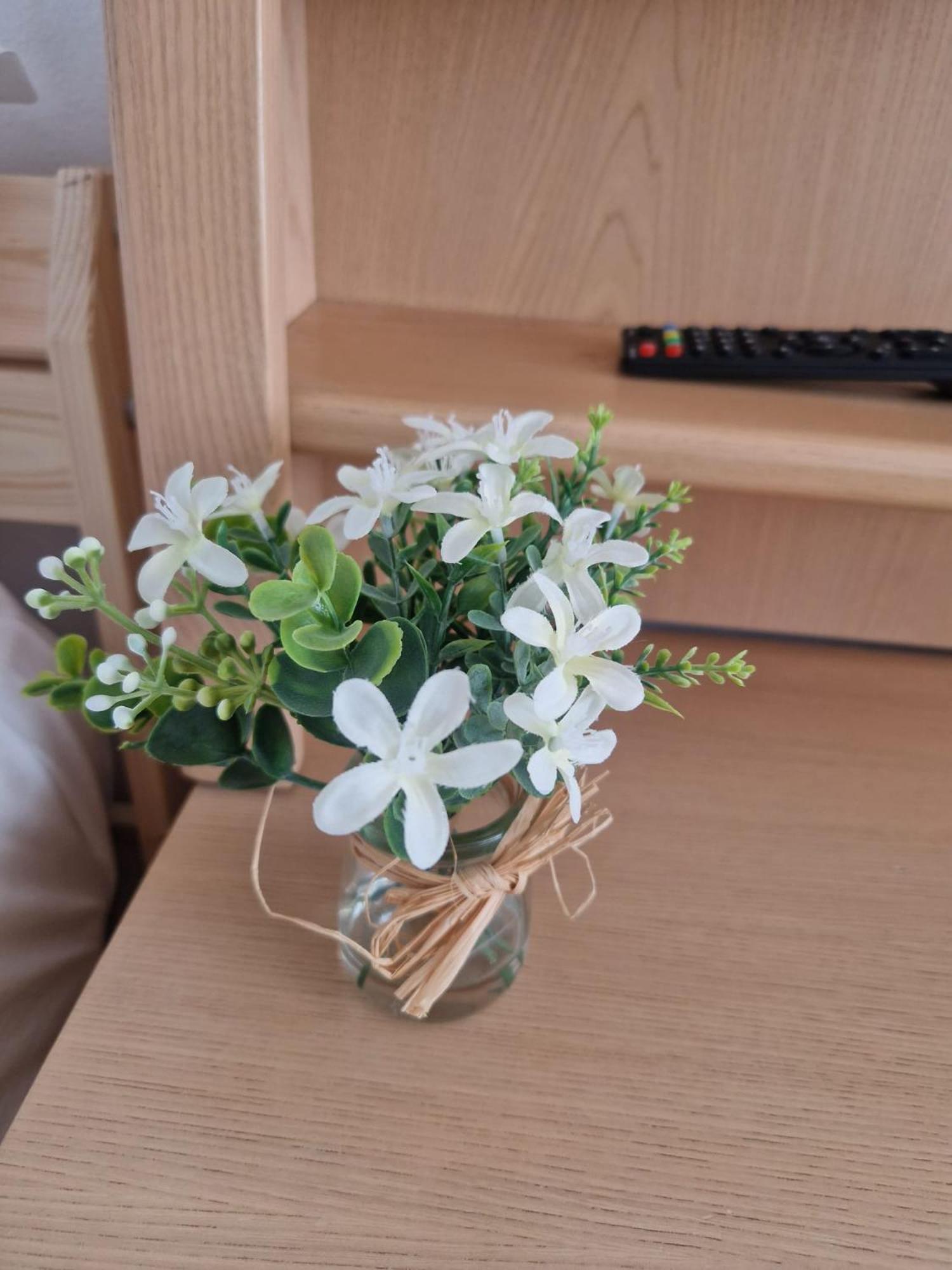 Stephanie Apartment-Centru Civic Брашов Екстер'єр фото